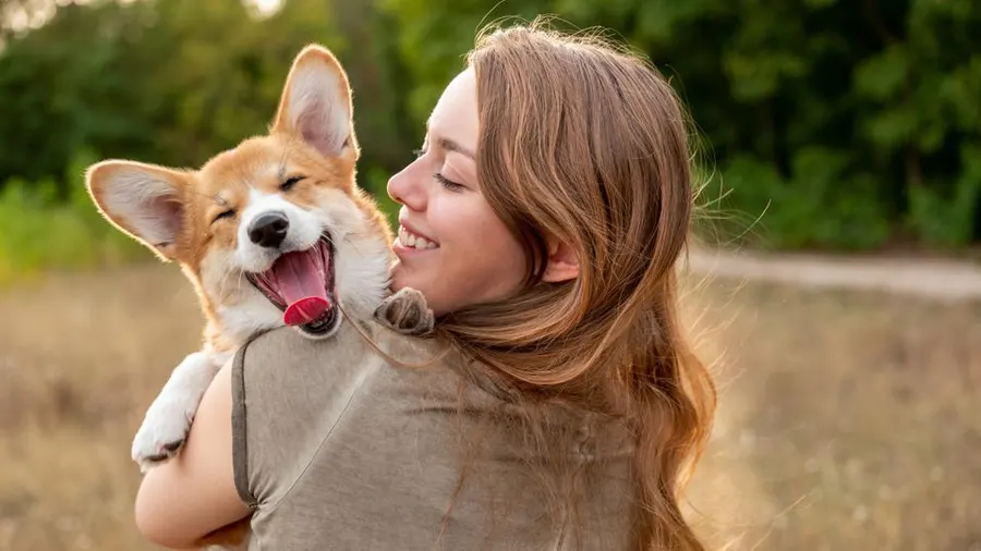 Pet care services in Kolkata