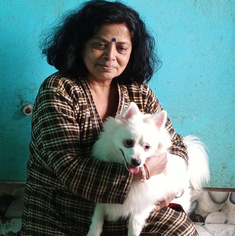 Pet service and grooming